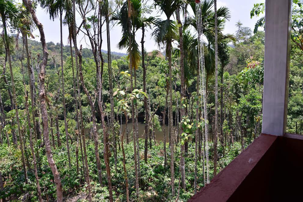 River Near Coorg Jambur Εξωτερικό φωτογραφία
