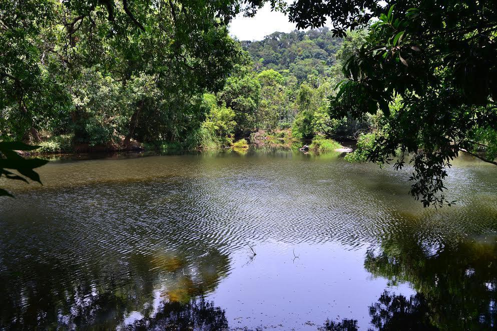 River Near Coorg Jambur Εξωτερικό φωτογραφία